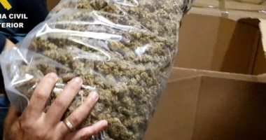 إسبانيا تصادر أكبر شحنة من الماريجوانا في التاريخ بقيمة 64 مليون يورو