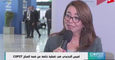 غادة والي للميس الحديدي: الجرائم المنظمة ترتبط بقضايا تغير المناخ والبيئة 