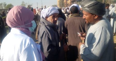 تحصين الماشية في سوق أرمنت بالأقصر ضد حمى الوادى المتصدع والقلاعية.. صور