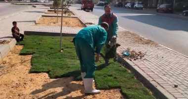 "نظافة القاهرة" تزرع الجزر الوسطى بشوارع البساتين.. صور