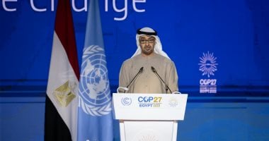رئيس الإمارات: أتمنى لمصر التوفيق فى قيادة العمل الدولى لمواجهة تغير المناخ