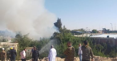 5 سيارات إطفاء للسيطرة على حريق بجوار محطة مياه المستقبل بالإسماعيلية.. صور