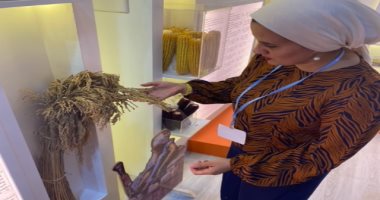 الذرة الحمراء والقطن الملون أحدث المحاصيل المستنبطة بجناح الزراعة فى COP27.. صور