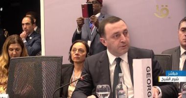 رئيس وزراء جورجيا بـCop27: ندعم إنتاج الطاقة والكهرباء النظيفة