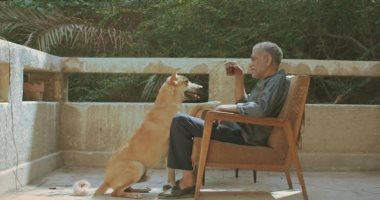 حيوانات الشارع.. أبطال فيلم " 19ب " بمهرجان القاهرة السينمائى الدولى