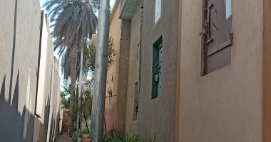 رئيس مدينة أشمون بالمنوفية: زرع 110 أعمدة إنارة فى المقابر.. صور