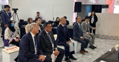 التنمية المحلية تعرض فرص التعاون مع المعهد الكورى للصناعة والتكنولوجيا البيئية