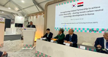 التنمية المحلية: تعزيز الشراكة مع القطاع الخاص لتوطين تكنولوجيا التحول الأخضر