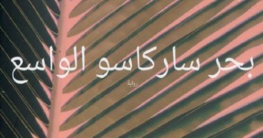 هل قرأت رواية "بحر ساركاسو الواسع".. ما علاقتها بـ جين إير؟