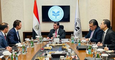 هيئة الاستثمار تبحث زيادة استثمارات شركة "أرتشيليك" العالمية فى مصر