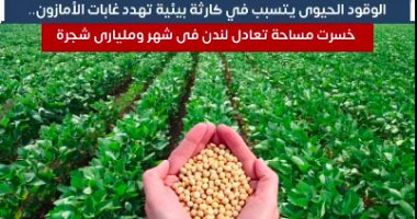 الوقود الحيوى يتسبب في كارثة بيئية تهدد غابات الأمازون.. فيديو