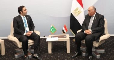 وزير خارجية باكستان يدعو سامح شكرى لزيارة إسلام أباد مطلع العام المقبل
