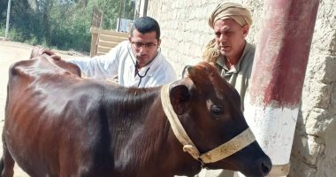 حياة كريمة.. جامعة الزقازيق توجه قافلة بيطرية لقرية العباسة بالشرقية