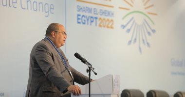محيى الدين: الاستثمار فى أنظمة البيانات يسهم فى تحديد الفجوات المالية