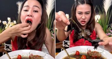  تايلاندية تواجه 5 سنوات سجنا لتصويرها نفسها تأكل "خفاش".. فيديو