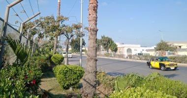 Cop27.. الإسكندرية تشهد حزمة إجراءات للحد من مخاطر التغييرات المناخية.. مبادرات المشروعات الخضراء الذكية والحد من استخدام البلاستيك للحفاظ على البيئة البحرية.. واستخدام الطاقة الشمسية بالمصالح الحكومية.. صور