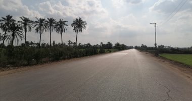 طقس مشمس معتدل على محافظة الدقهلية.. صور