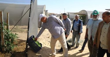محافظ الوادي الجديد يتفقد مشروع الصوب الزراعية بالخارجة لتوفير الخضروات بأسعار مخفضة