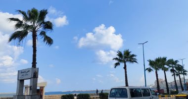 طقس الإسكندرية اليوم.. تحسن ملحوظ بعد أمطار الفجر الغزيرة على المحافظة "صور"