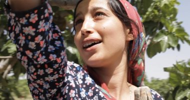 مهرجان البحر الأحمر يعلن عن باقة من الأفلام العالمية ضمن برنامج "اختيارات عالمية"