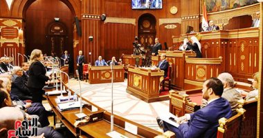 نائب التنسيقية يقترح تعديل مدة ندب الملحقين الفنيين بقانون السلك الدبلوماسى