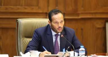 محمد حلاوة رئيس لجنة الصناعة والتجارة بالشيوخ:الاستثمار مستقبل مصر..جهود الرئيس السيسي فى مؤتمر المناخ والمؤتمر الاقتصادى فتحت المجال أمام الاستثمارات..وننتظر من الحكومة إجراءات لدعم الشراكات الإقليمية والدولية