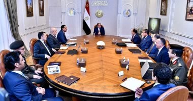 الرئيس السيسي يتابع موقف المتحف المصرى الكبير ويوجه بربطه بهضبة الأهرامات