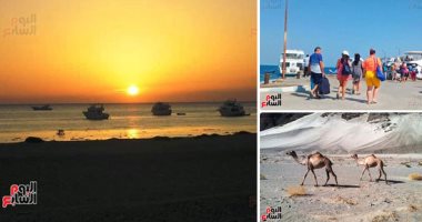 "حماطة" هنا الطبيعة كما تكون.. تجسد جمال الطبيعة البرية والبحرية بالبحر الأحمر.. يقصدها محبو الهدوء والاستجمام ويعشقها هواة صيد النزهة.. شواطئها غنية بالكائنات البحرية وصحاريها رصد فيها الغزال والكبش.. صور