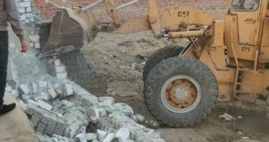 حملات دورية بالشرقية لإزالة التعديات والبناء المخالف 