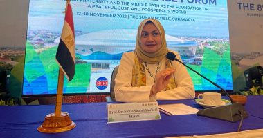 مستشار شيخ الأزهر لشؤون الوافدين: الأخوة الإنسانية تقدم الحلول الحضارية 