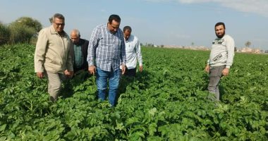 وكيل زراعة دمياط يتابع استعدادات المزارعين لاستقبال الحاصلات الشتوية‎‎.. صور