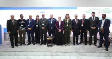 محيى الدين: المشروعات الخضراء تظهر مدى استفادة المواطن من العمل التنموى والمناخى