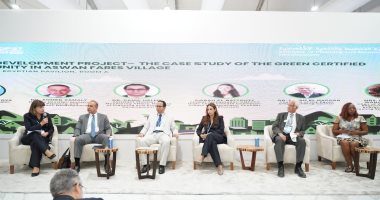 نائب وزيرة التخطيط يستعرض تجربة قرية فارس بأسوان خلال جلسة حول مشروع التنمية الريفية