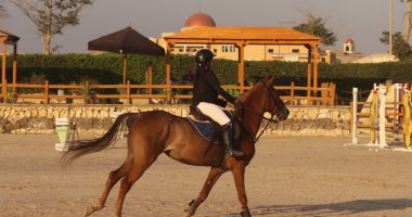 دورة دولية لمصممي الموانع لرياضة الفروسية باللجنة الأوليمبية 