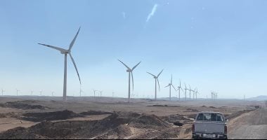 لماذا هولندا أرض خصبة مثالية للشركات الناشئة في مجال التكنولوجيا الخضراء؟.. تقرير يجيب 