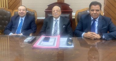 المؤبد لـ9 متهمين والسجن المشدد 15 عاما لـ 13 آخرين فى قضية خلية السلام