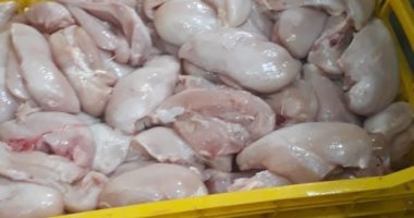 "بيطرى الغربية": ضبط لحوم ودواجن وأسماك غير صالحة للاستهلاك خلال حملة مكبرة