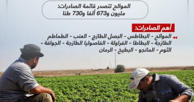 تجاوزت 5.6 مليون طن.. طفرة فى صادرات مصر الزراعية (إنفوجراف)