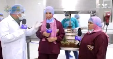 جابر القرموطي يرصد مراحل إنتاج عسل النحل في "حصة شبشير" بالغربية