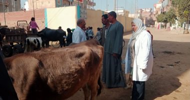 فحص وتحصين المواشى بالأقصر والغربية.. وانطلاق مبادرة توعية لمزارعى دمياط