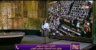 وكيل لجنة الاتصالات بالنواب: تعديلات قانون الاتصالات جاءت من أجل سلامة الأمن القومى المصرى