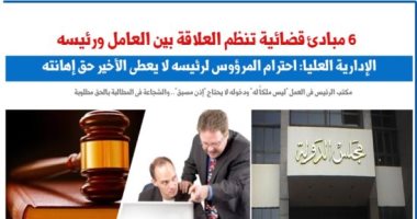 6 مبادئ قضائية جديدة تنظم العلاقة بين العامل ورئيسه فى العمل..نقلا عن برلماني