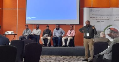 ورشة عمل لـ"الفاو" لمناقشة حلول استئصال سوسة النخيل الحمراء بأسوان