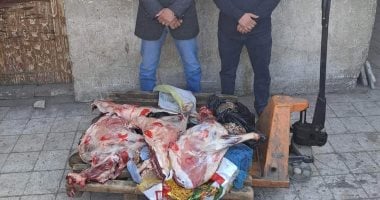 ضبط لحوم غير صالحة للاستهلاك الآدمى فى حملة لمديرية الطب البيطرى بسوهاج