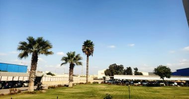 طقس مستقر فى المحافظات.. استقرار ملحوظ بمدن دمياط.. وأجواء معتدلة خريفية ببنى سويف.. واعتدال بجميع أنحاء المنوفية.. والأقصر تسجل انخفاضا بدرجات الحرارة وتجهز للشتاء.. وشتاء دافئ وشمس ساطعة بالوادى الجديد.. صور