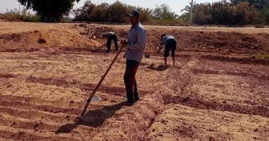 طقس الوادى الجديد.. شتاء دافئ وشمس ساطعة ودرجة الحرارة 28 درجة