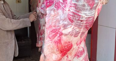 ضبط لحوم غير صالحة للاستهلاك الآدمى فى حملة على محلات الجزارة بسوهاج