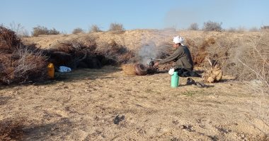 أهالى قرى جنوب الشيخ زويد ورفح بسيناء يبدأون زراعة الشعير والقمح.. صور