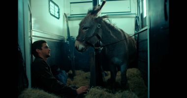  فيلم EO يقترب من تحقيق أول مليون دولار حول العالم 