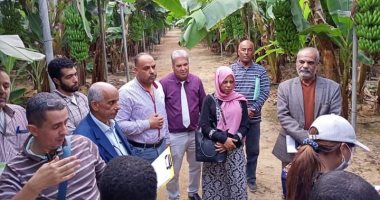 وفد متعدد الجنسيات يتفقد الزراعات المحمية بمركز أبو صوير فى الإسماعيلية